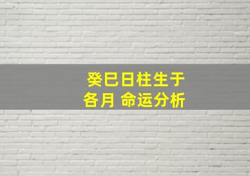 癸巳日柱生于各月 命运分析